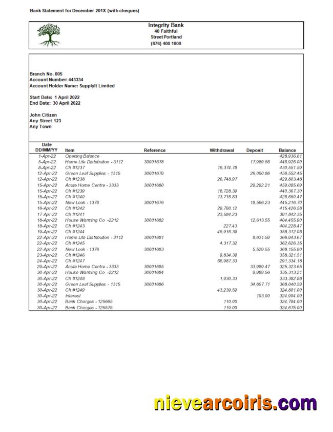 USA Integrity Bank statement Word and PDF.1